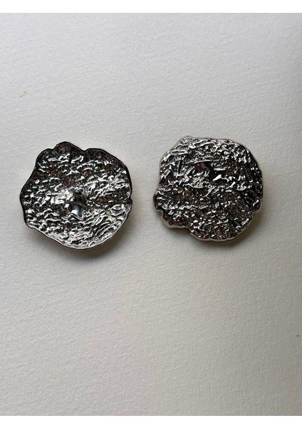 Z.a.r.a Model Gümüş Renk 2li Büyük Boy Düğme Seti(70 Boy) fiyatları