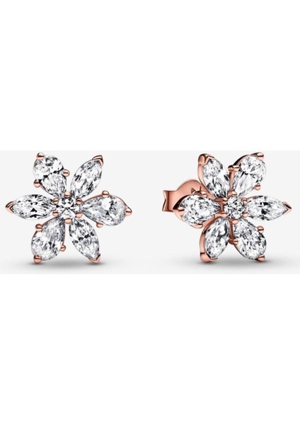 Işıltılı Herbaryum Çivi Rose Küpe