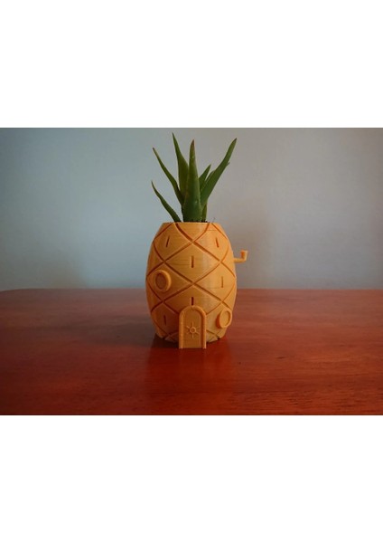 Spongebob'un Evi Bitki Saksısı