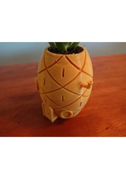 Spongebob'un Evi Bitki Saksısı