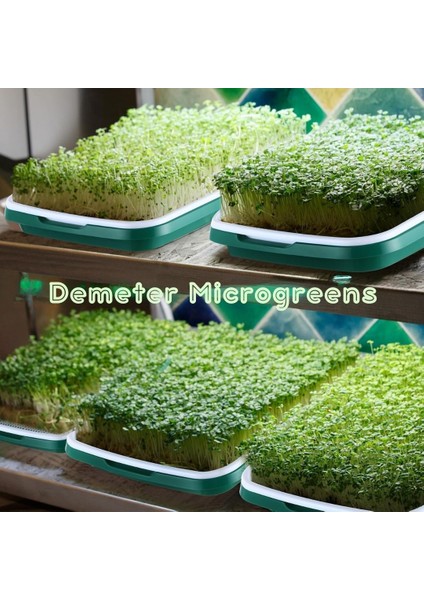 Demeter Microgreens Tohum Filizlendirme ve Çimlendirme, Mikro Yeşillik Yetiştirme Tepsisi, Bpa İçermeyen Plastikten