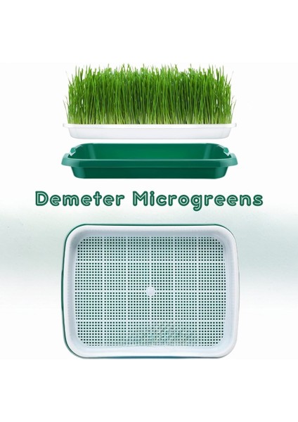 Demeter Microgreens Tohum Filizlendirme ve Çimlendirme, Mikro Yeşillik Yetiştirme Tepsisi, Bpa İçermeyen Plastikten