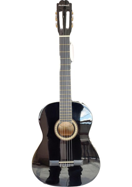 Klasik Gitar