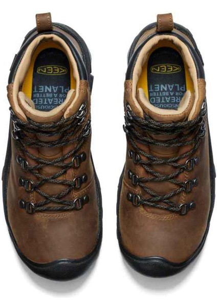 Pyrenees Erkek Bot fırsatları