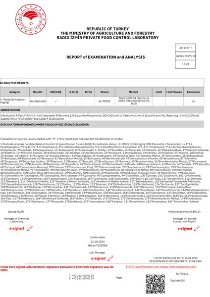 2024-2025 Erken Hasat Organik Natürel Sızma Soğuk Sıkım Zeytinyağı 1 Lt-filtre edilmemiş