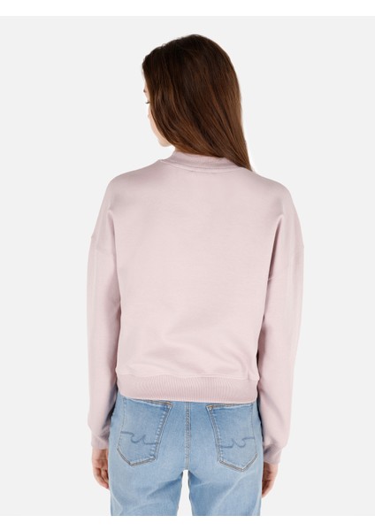 Pembe Kadın Sweatshirt fiyatları