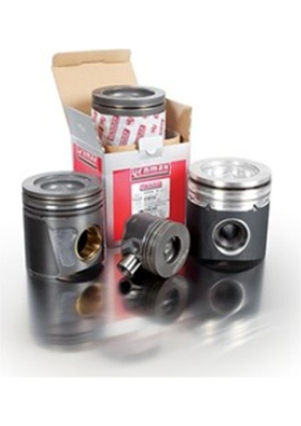 Opel Astra G Z16XE Piston Sekman Std Ölçü Yenmak