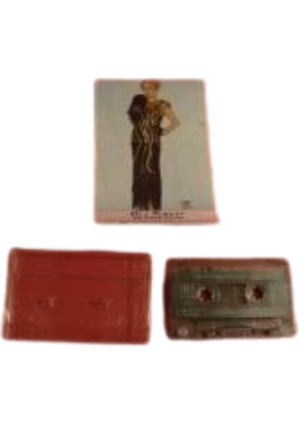 Oya Nurdan- Bir Bahar Akşamı Kaset