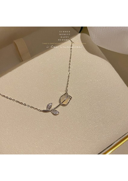 High-End Hafif Lüks Titanyum Çelik Kolye Kadın Niş Tasarımı Sıcak Kız Inci Köprücük Kemiği Zinciri Moda Çok Yönlü Aksesuar (Yurt Dışından)