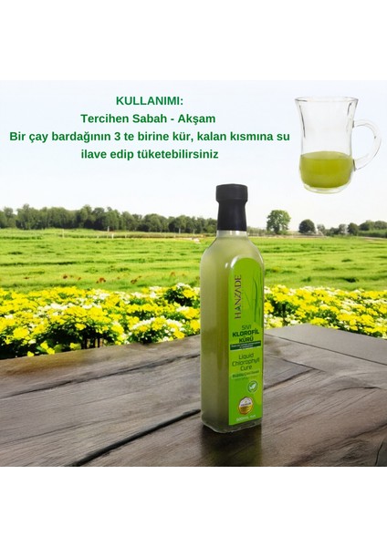 Sıvı Klorofil Kürü Buğday Çimi Ilaveli Bitki Ekstraktları 500 ml Cam Şişe
