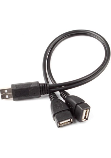 USB 2.0 A Erkek - 2 Çift Çift USB Dişi Splitter Kablo Uzatma Hub Şarj Cihazı Sync #78970 (Yurt Dışından)