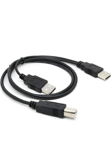 80 cm Çift USB 2.0 Erkek - Yazıcı ve Tarayıcı ve Harici Sabit Disk Sürücüsü Için USB Standart B Erkek Y Kablosu (Yurt Dışından)