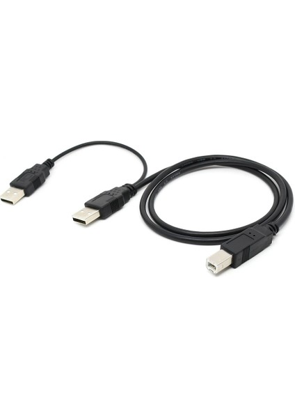 80 cm Çift USB 2.0 Erkek - Yazıcı ve Tarayıcı ve Harici Sabit Disk Sürücüsü Için USB Standart B Erkek Y Kablosu (Yurt Dışından) modelleri