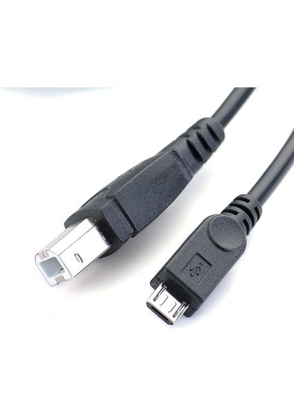M USB 2.0 Standart B Erkek USB Mikro 5 Pin 5pin Erkek Veri Kablosu Tablet Hub Sabit Disk Yazıcı Için (Yurt Dışından)