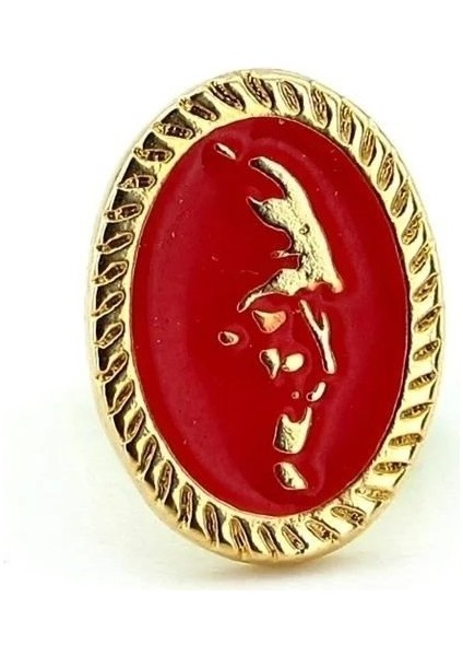 Kırmızı Atatürk Silüeti Altın Metal Rozet 10 Kasım 29 Ekim Öğretmenler Günü Hediye modelleri