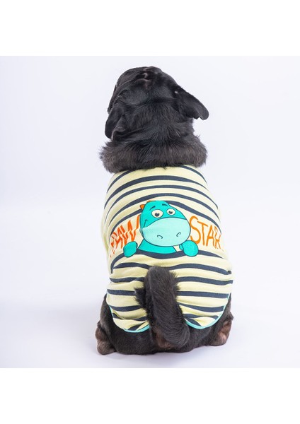 Limon Dino Star Sweat Küçük ve Orta Irk Sweat