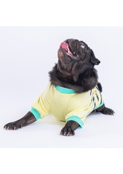 Limon Dino Star Sweat Küçük ve Orta Irk Sweat
