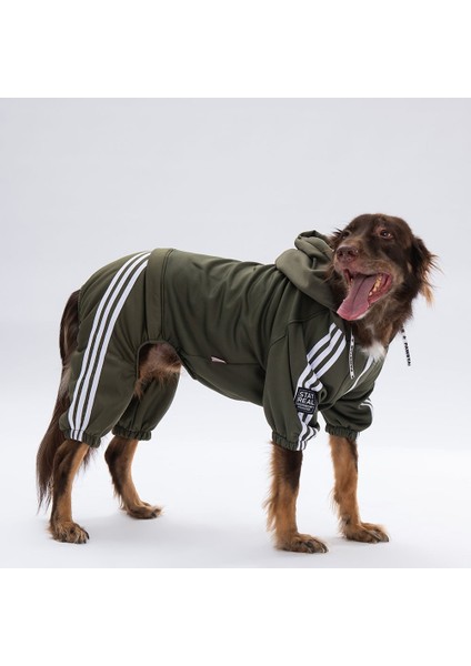 Haki Tuta Orta-Büyük Irk Köpek Tulumu fiyatları