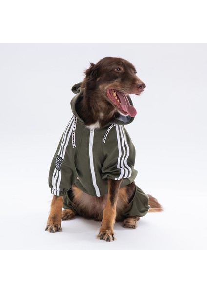 Haki Tuta Orta-Büyük Irk Köpek Tulumu modelleri