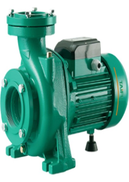 TNF140 4 Hp Sulama Pompası
