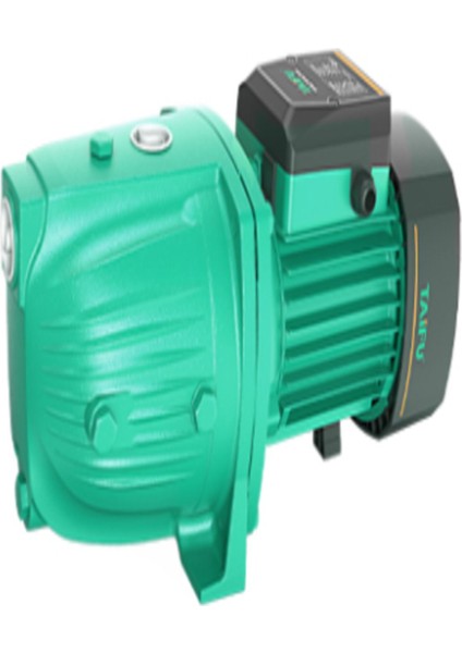 Jet 100 1 Hp Döküm Gövdeli Jet Pompa