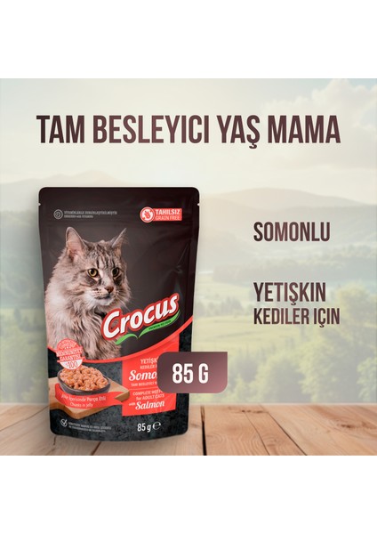 Tahılsız Somonlu Jöleli Pouch Kediler için Yaş Mama 85 G