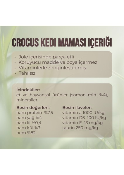 Tahılsız Somonlu Jöleli Pouch Kediler için Yaş Mama 85 G