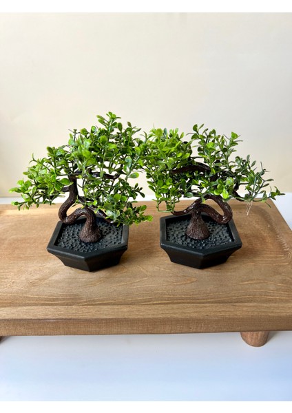 2 Adet Saksılı Mini Yapay Ağaç (13 Cm)