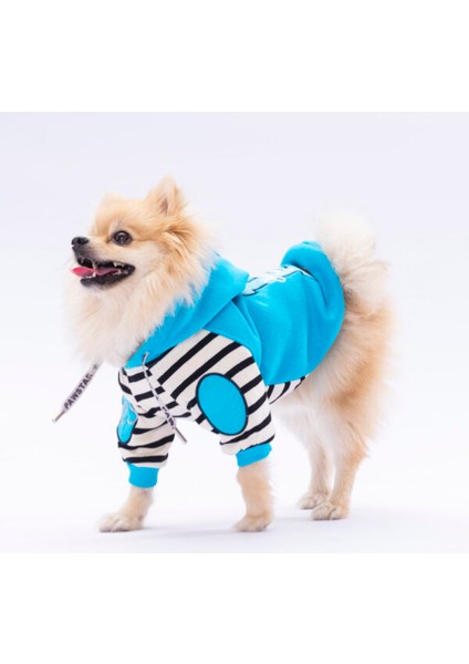 Turkuaz Lucky Club Polarlı Küçük Irk Köpek Sweatshirtü