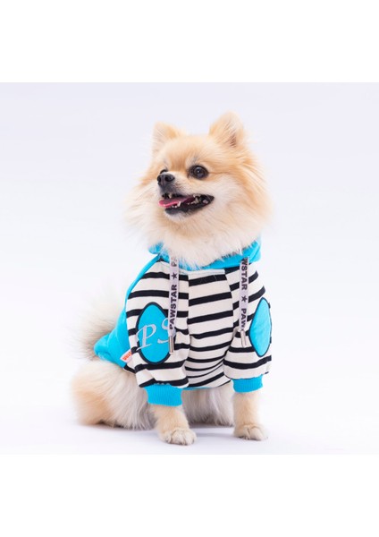 Turkuaz Lucky Club Polarlı Küçük Irk Köpek Sweatshirtü