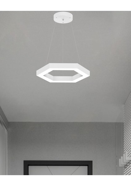 Hexagon (Beyaz Kasa, Doğal Beyaz) Ledli Modern Sarkıt LED Avize fiyatları