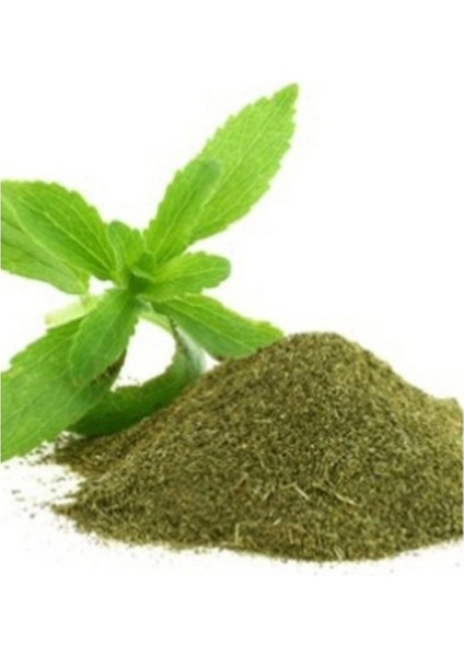 Şeker Otu Stevia Toz Öğütülmüş 1 kg fiyatları