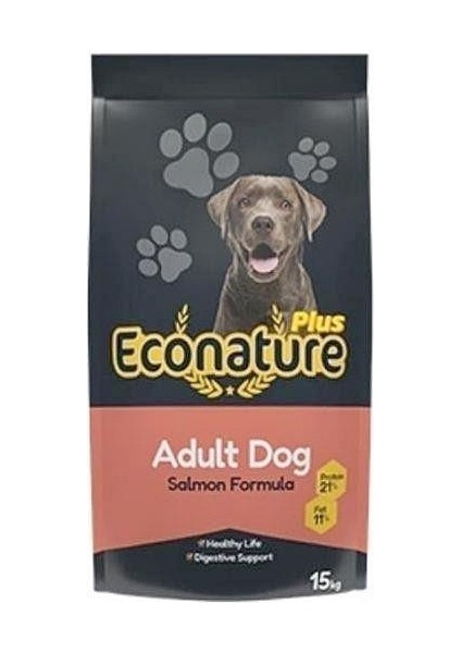 Plus Somonlu Yetişkin Köpek Maması 15 kg