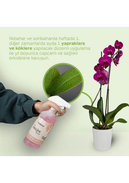 Orkide Besini Vitamini 500 ml - Çiçeklendirici ve Köklendirici Formül fırsatları