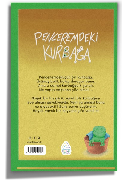Penceremdeki Kurbağa - Ayşe Gül Gündüz