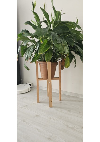 Ahşap Dekoratif Saksı Altlığı Tekli 60*30*30 cm