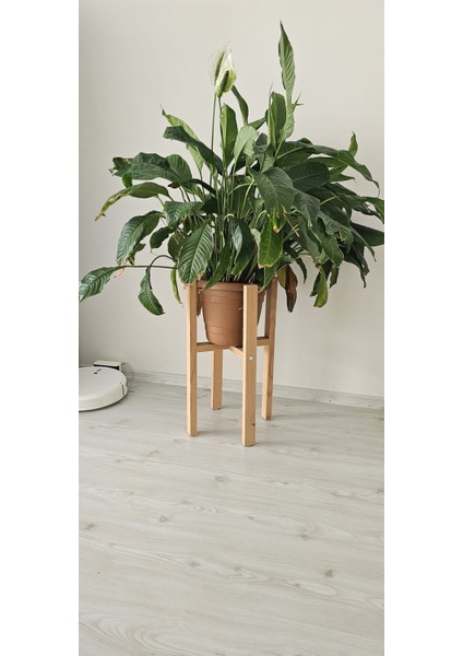 Ahşap Dekoratif Saksı Altlığı Tekli 60*30*30 cm fiyatları