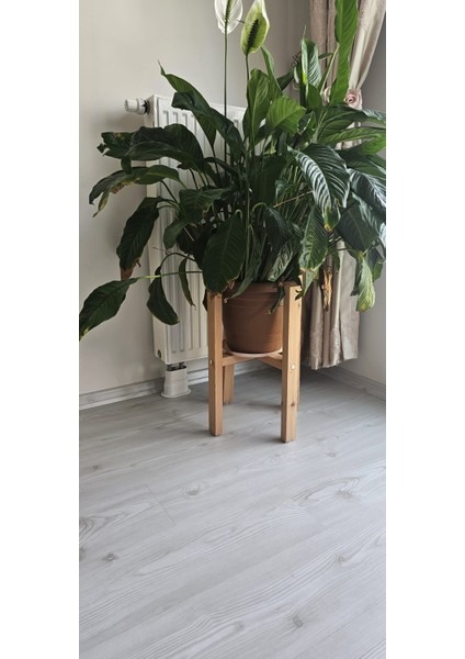 Ahşap Dekoratif Saksı Altlığı Tekli 50*30*30 cm
