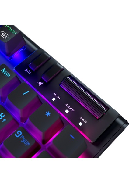 Carbon Full Rgb Aydınlatmalı Mekanik Bilek Destekli Blue Switch Antıghosting Gaming Oyuncu Klavyesi
