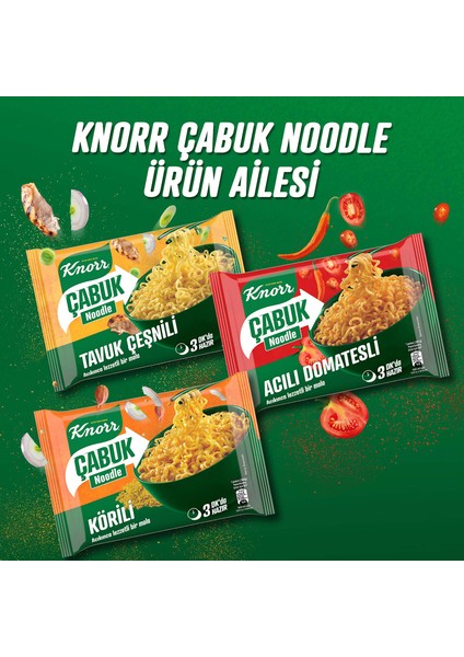 Körili Çabuk Noodle 66 gr x 12 Adet