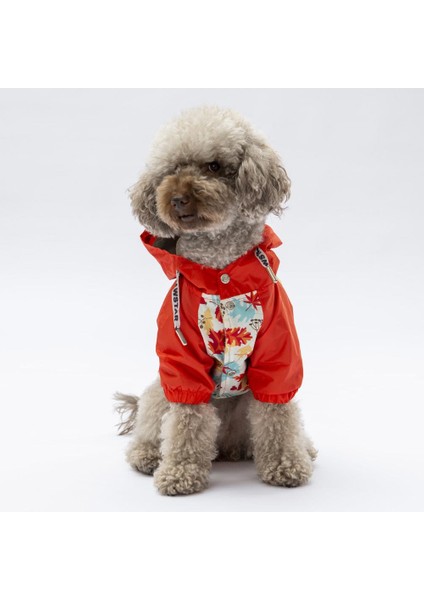 Ottawa Köpek Mont