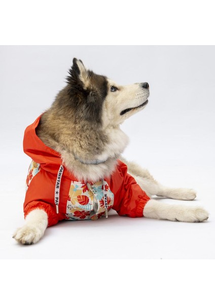 Ottawa Büyük Irk Köpek Tulum Yağmurluğu