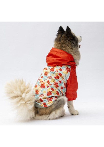 Ottawa Büyük Irk Köpek Tulum Yağmurluğu fiyatları