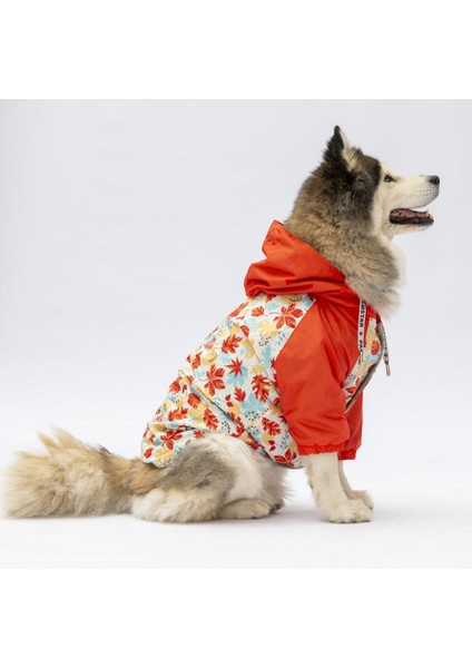 Ottawa Büyük Irk Köpek Tulum Yağmurluğu modelleri