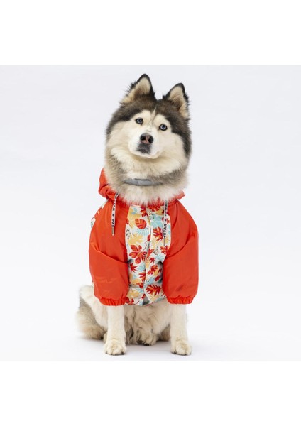 Ottawa Büyük Irk Köpek Tulum Yağmurluğu fırsatları