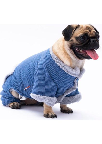 Mavi Alabama Küçük Irk Köpek Tulumu