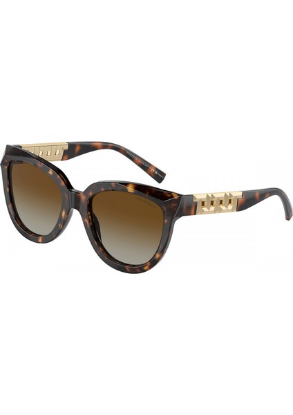 Tıffany & Co TF4215 53 8015T5 Güneş Gözlüğü