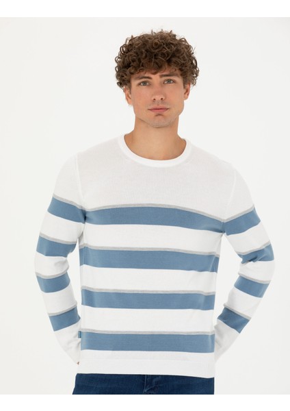 Erkek Ekru Slim Fit Bisiklet Yaka Triko Kazak 50278087-VR019