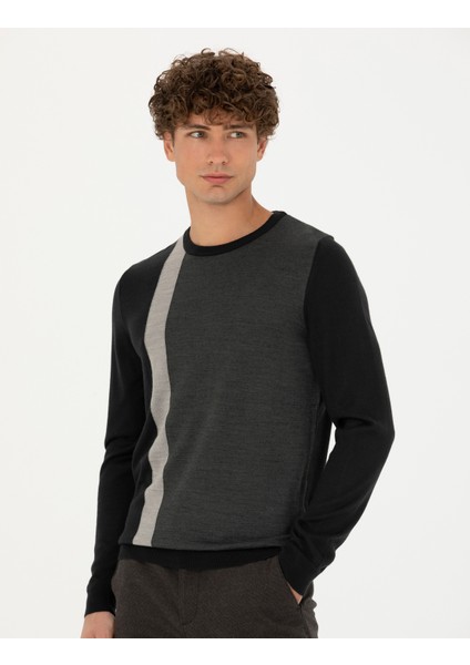 Erkek Siyah Slim Fit Bisiklet Yaka Yün Karışımlı Triko Kazak 50278089-VR046