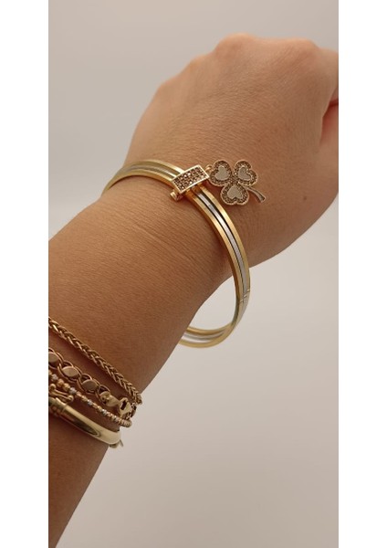 Ajda Charm Zirkon Üçlü Yonca Model